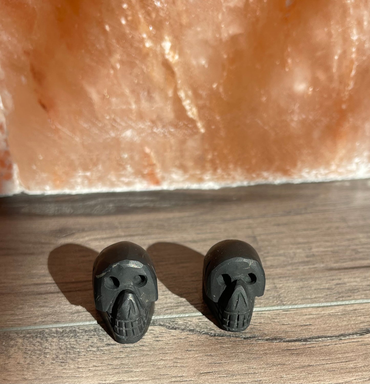 Shungite Skull