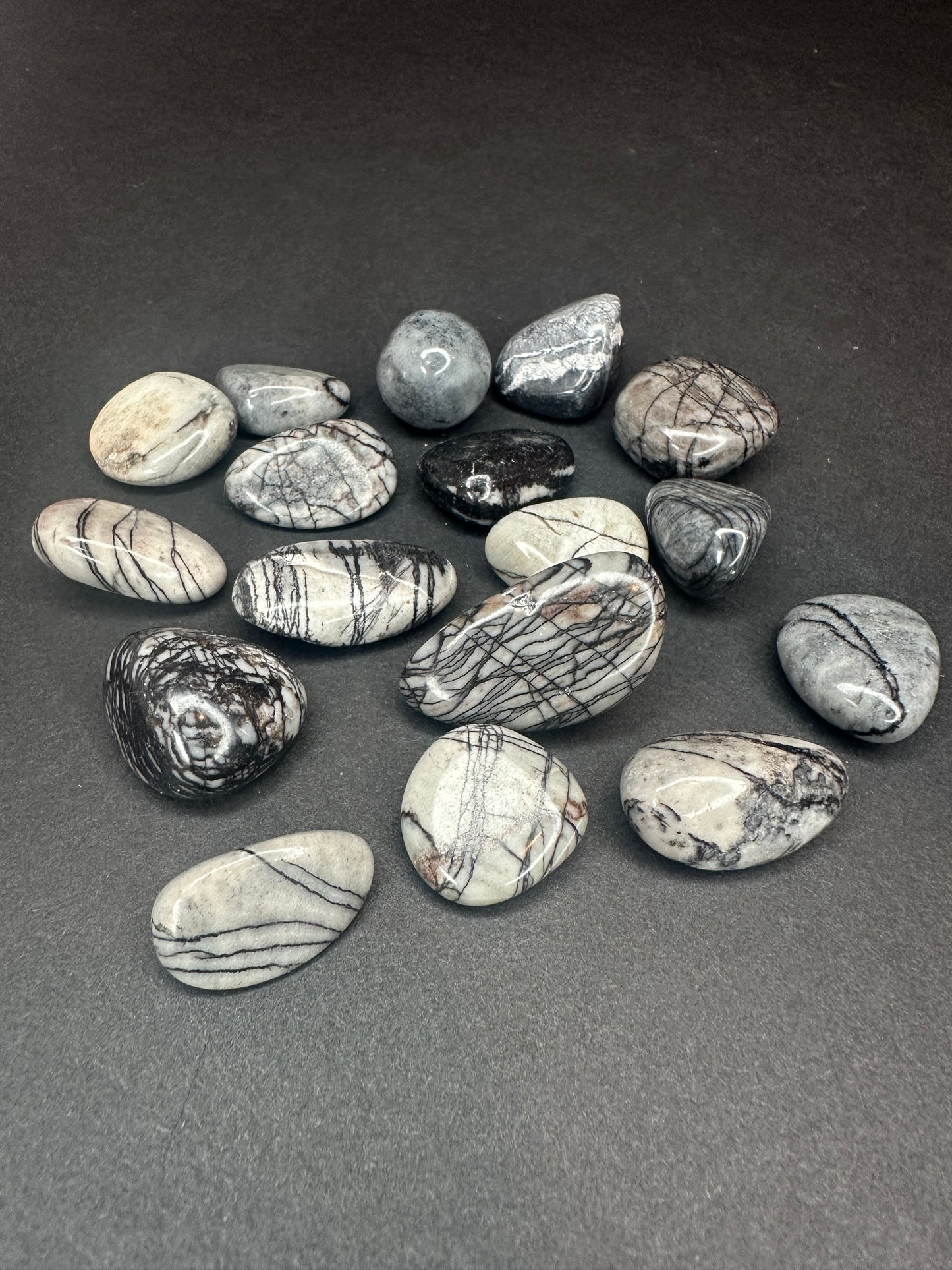 Zebra Jasper